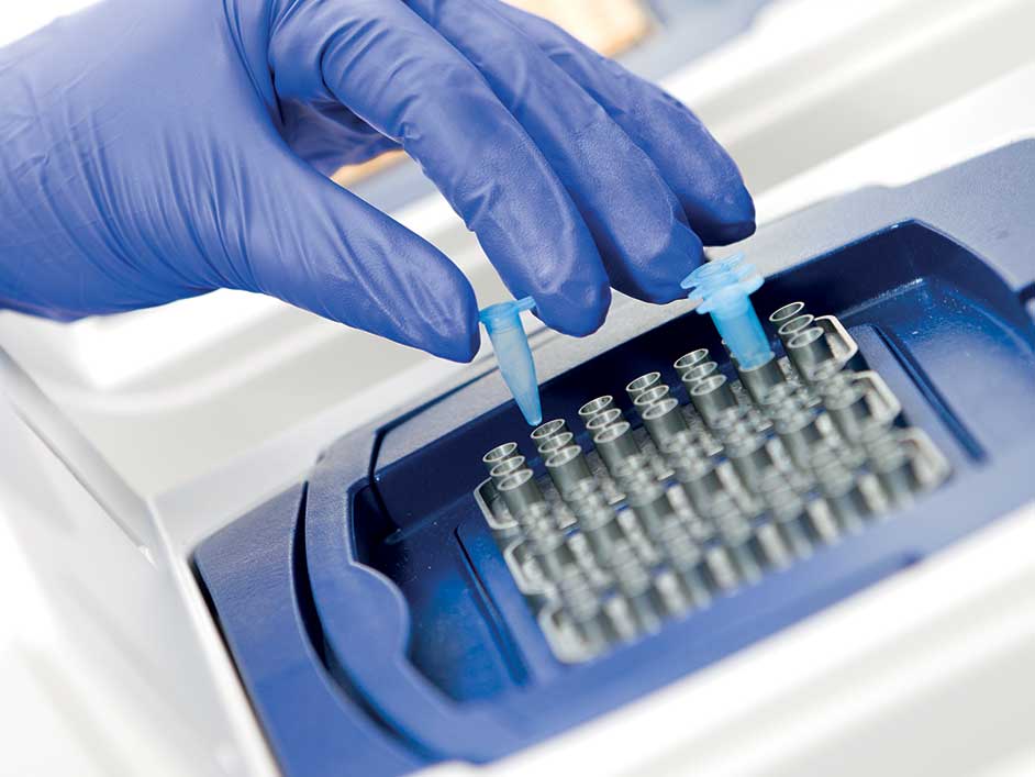 CE-IVD Reproductive Health PCR assays