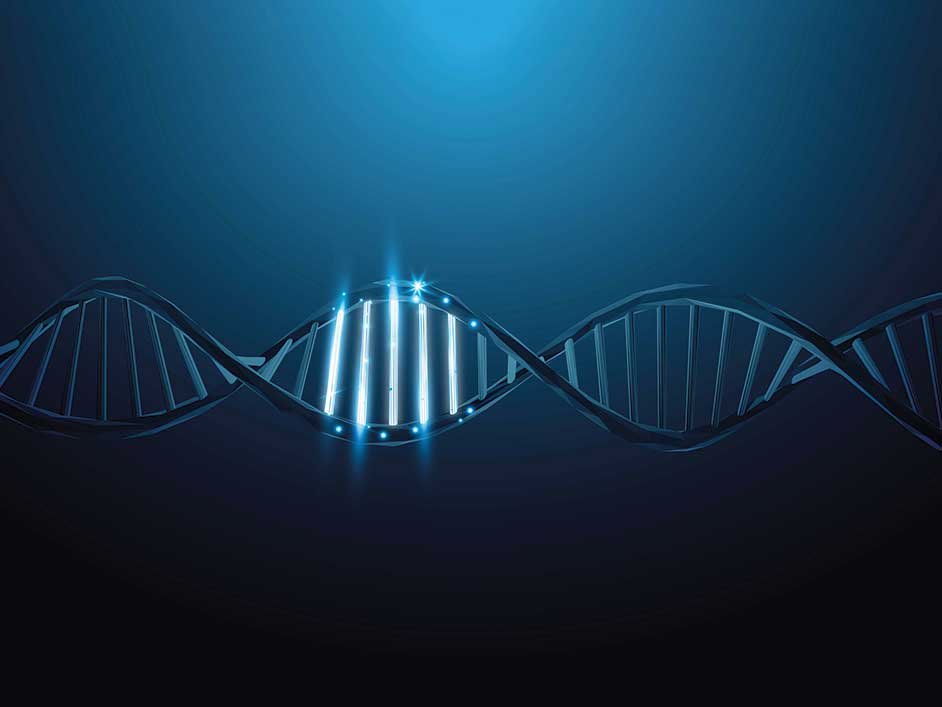 Next Generation DNA Size Selection